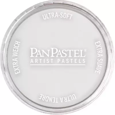 PanPastel Artist's Pastel Boya 920.5 Silver