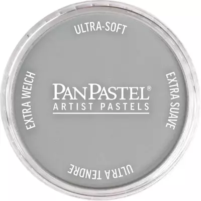 PanPastel Artist's Pastel Boya 921.5 Pewter