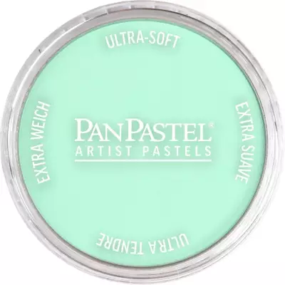 PanPastel Artist's Pastel Boya 956.5 Pearlescent Green