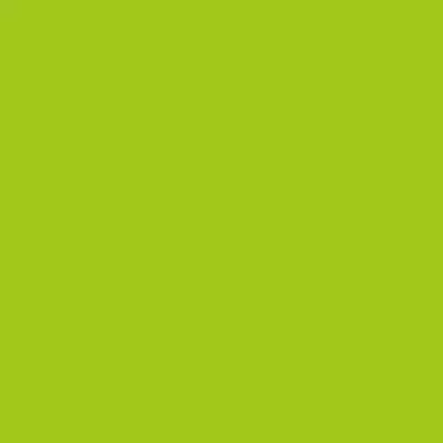 Realbrush Pigment Marker Lime Green