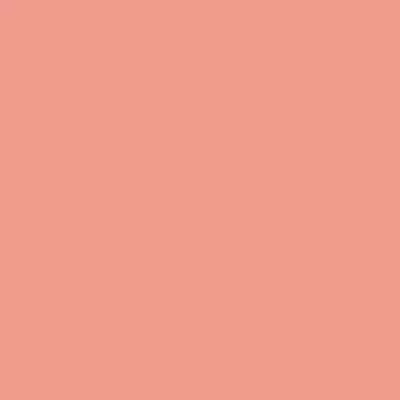 Realbrush Pigment Marker Salmon Pink