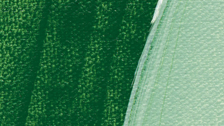 Schmincke Akademie Acrylic Ink 50 ml 552 Leaf Green - 3