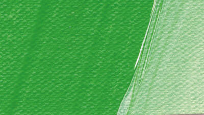 Schmincke Akademie Acrylic Paint 120 ml 554 Permanent Green