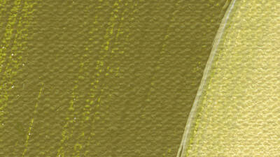 Schmincke Akademie Acrylic Paint 120 ml 558 Olive Green
