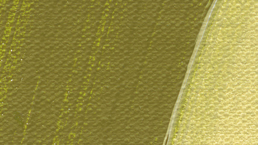 Schmincke Akademie Acrylic Paint 120 ml 558 Olive Green - 2