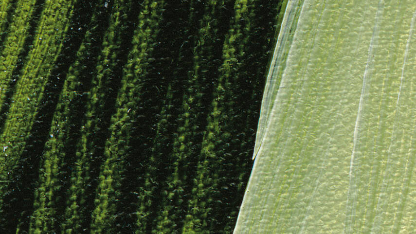 Schmincke Akademie Acrylic Paint 120 ml 560 Sap Green - 2