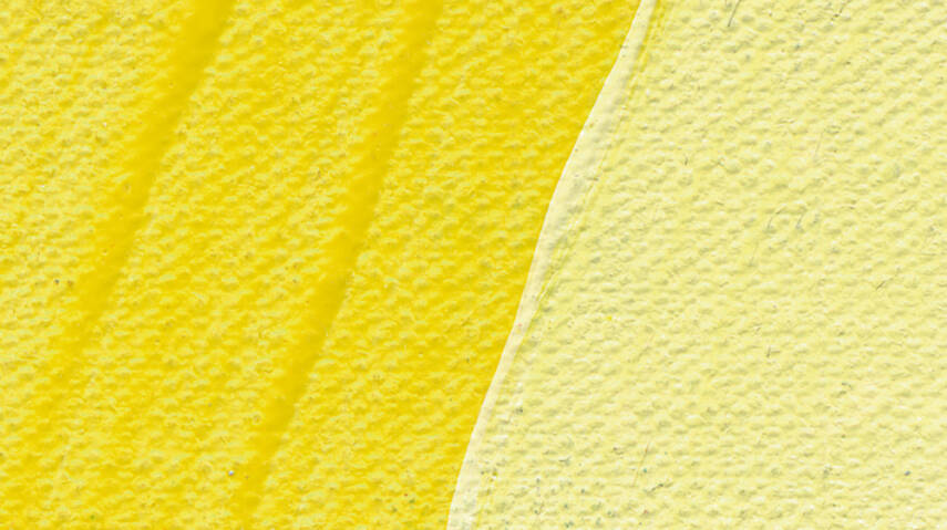 Schmincke Akademie Acrylic Paint 500 ml 222 Lemon Yellow - 2