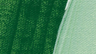 Schmincke Akademie Akrilik Boya 120 ml 552 Leaf Green