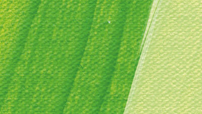 Schmincke Akademie Akrilik Boya 120 ml 557 May Green