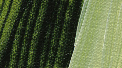 Schmincke Akademie Akrilik Boya 120 ml 560 Sap Green