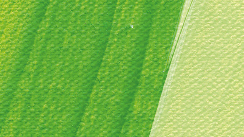 Schmincke Akademie Akrilik Mürekkep 50 ml 557 May Green - 3