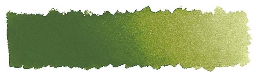Schmincke Akademie Aquarell Half Pan Watercolor 554 Olive Green Yellowish - 2