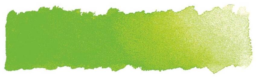 Schmincke Akademie Aquarell Yarım Tablet Sulu Boya 552 May Green - 2