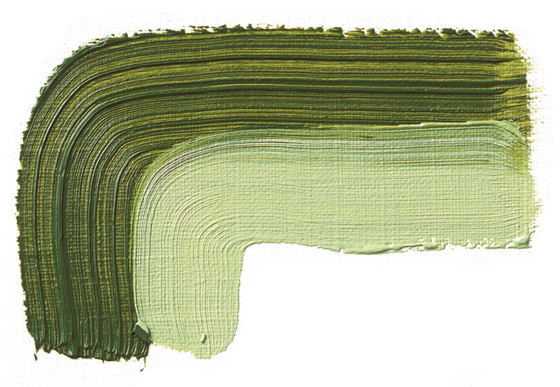 Schmincke Akademie Oil Paint 200 ml Series 1 504 Green Earth - 2