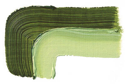 Schmincke Akademie Oil Paint 200 ml Series 1 506 Sap Green