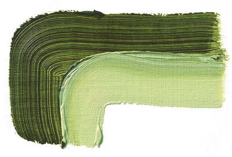 Schmincke Akademie Oil Paint 200 ml Series 1 506 Sap Green - 2