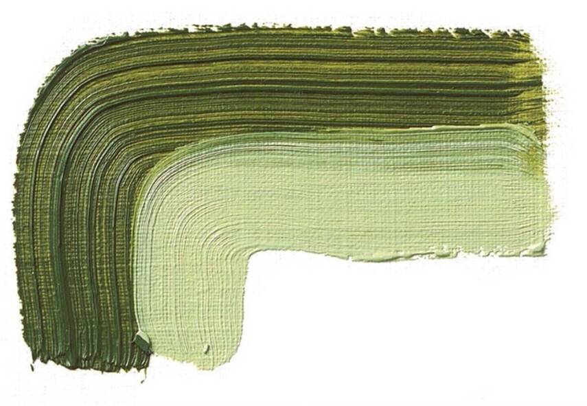 Schmincke Akademie Oil Paint 60 ml Series 1 504 Green Earth - 2