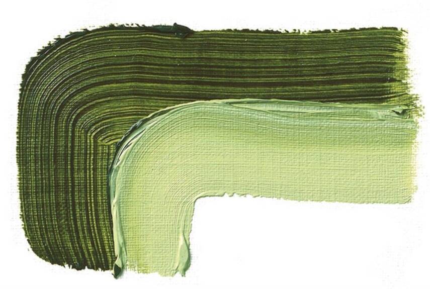 Schmincke Akademie Oil Paint 60 ml Series 1 506 Sap Green - 2