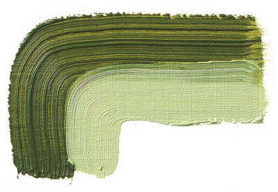 Schmincke Akademie Öl Color Yağlı Boya 200 ml 504 Green Earth Seri 1 