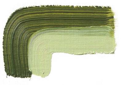 Schmincke Akademie Öl Color Yağlı Boya 60 ml 504 Green Earth Seri 1 - 2