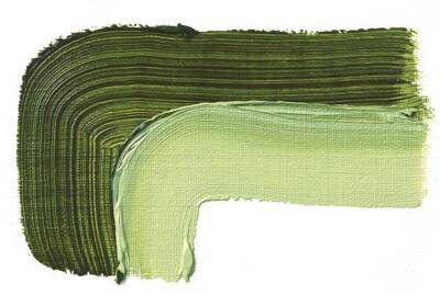 Schmincke Akademie Öl Color Yağlı Boya 60 ml 506 Sap Green Seri 1 - 2