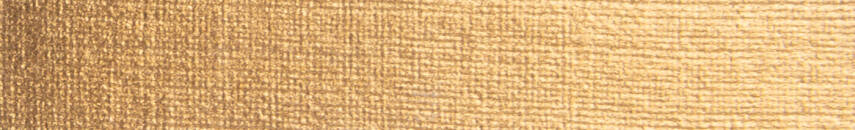 Schmincke Aqua Bronze Sulu Boya Yaldız Pigment 20 ml 813 Pale Gold - 2