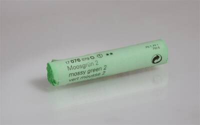 Schmincke Artist Soft Pastel 076 O Mossy Green 2