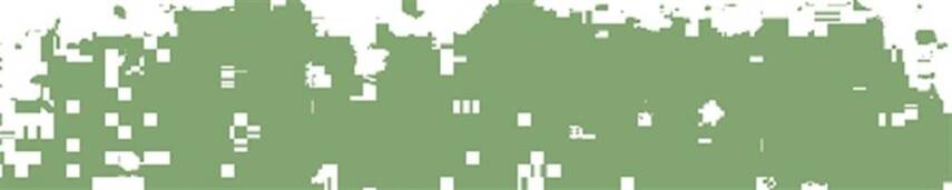 Schmincke Artist Soft Pastel Boya 072 D Leaf Green 1 - 2