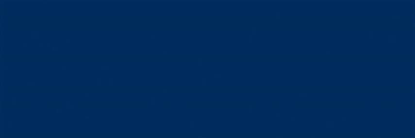 Schmincke Calligraphy Artist Guaj Boya 20 ml 431 Paris Blue - 2