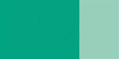 Schmincke Hks Designers' Gouache 20 ml Tube 554 Chromium Oxide Green Brilliant - 2