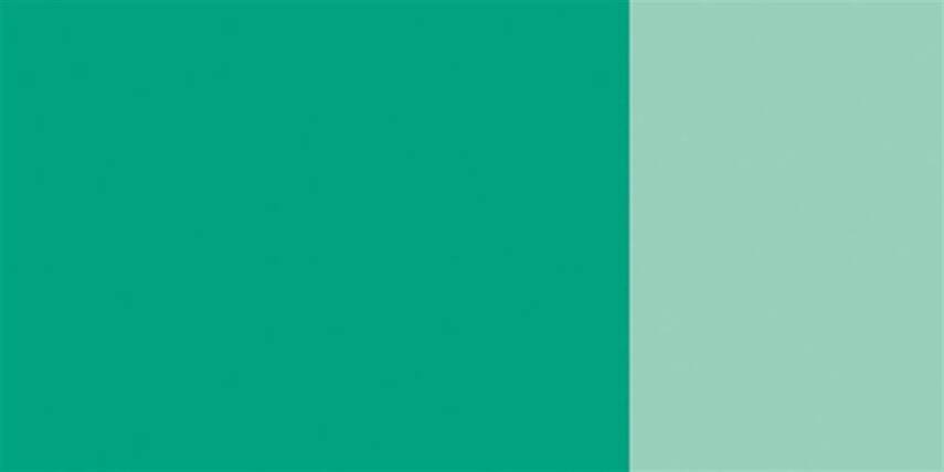 Schmincke Hks Designers' Guaj Boya 20 ml 554 Chromium Oxide Green Brilliant - 2