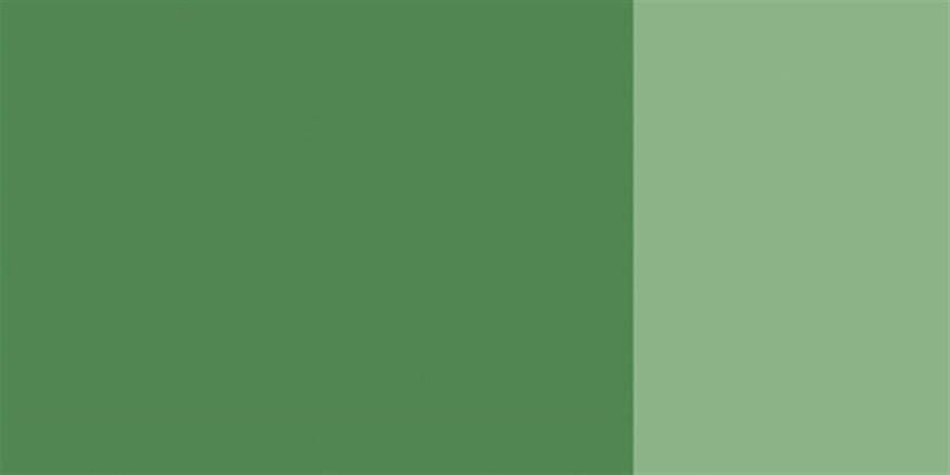 Schmincke Hks Designers' Guaj Boya 20 ml 558 Chromium Oxide Green - 4