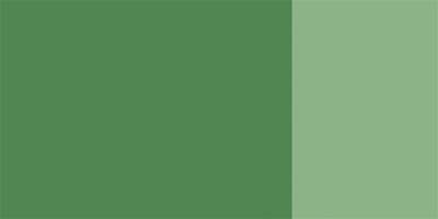 Schmincke Hks Designers' Guaj Boya 20 ml 558 Chromium Oxide Green - 2