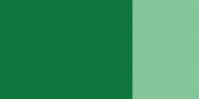 Schmincke Hks Designers' Guaj Boya 20 ml 561 Fir Green - 4