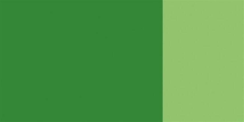 Schmincke Hks Designers' Guaj Boya 20 ml 563 Sap Green - 4