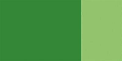 Schmincke Hks Designers' Guaj Boya 20 ml 563 Sap Green - 2