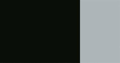 Schmincke Hks Designers' Guaj Boya 20 ml 788 Ivory Black - 2