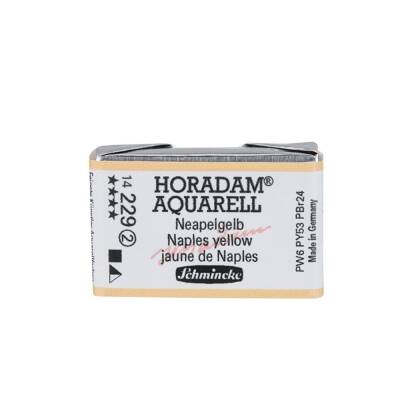 Schmincke Horadam Aquarell Artist Sulu Boya Tam Tablet 229 Naples Yellow Seri 2
