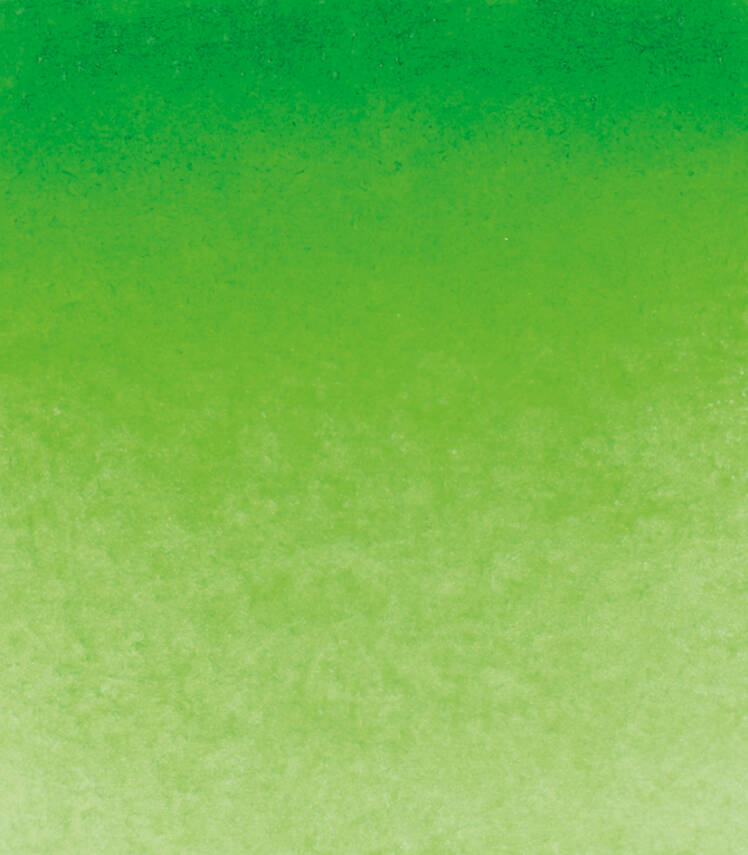 Schmincke Horadam Aquarell Artist Sulu Boya Tam Tablet 526 Permanent Green Seri 2 - 2