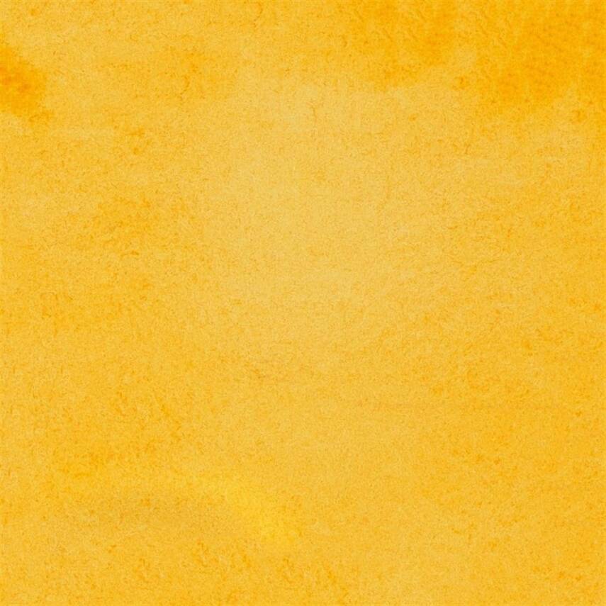 Schmincke Horadam Aquarell Artist Watercolor 15 ml Tube Series 1 657 Transparent Ocher - 2