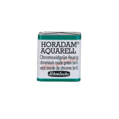 Schmincke Horadam Aquarell Artist Watercolor Chromium Oxide Green Brilliant 1/2 Tab.