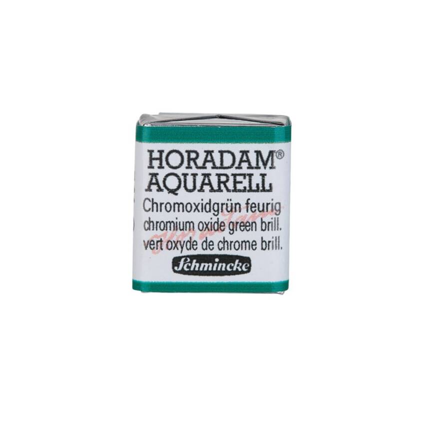 Schmincke Horadam Aquarell Artist Watercolor Chromium Oxide Green Brilliant 1/2 Tab. - 1