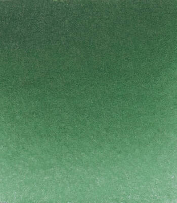 Schmincke Horadam Aquarell Artist Watercolor Full Pan Series 1 521 Hooker'S Green