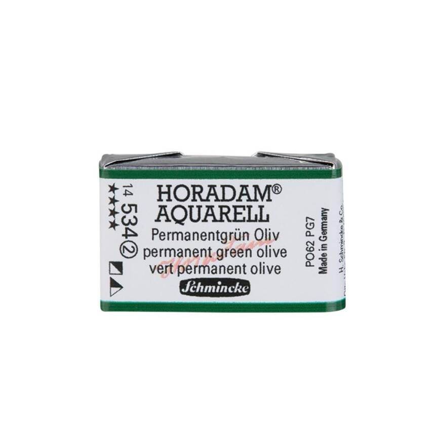 Schmincke Horadam Aquarell Artist Watercolor Full Pan Series 2 534 Permanent Green Olive - 1