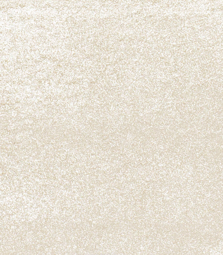 Schmincke Horadam Aquarell Artist Watercolor Full Pan Series 2 894 Silver - 2