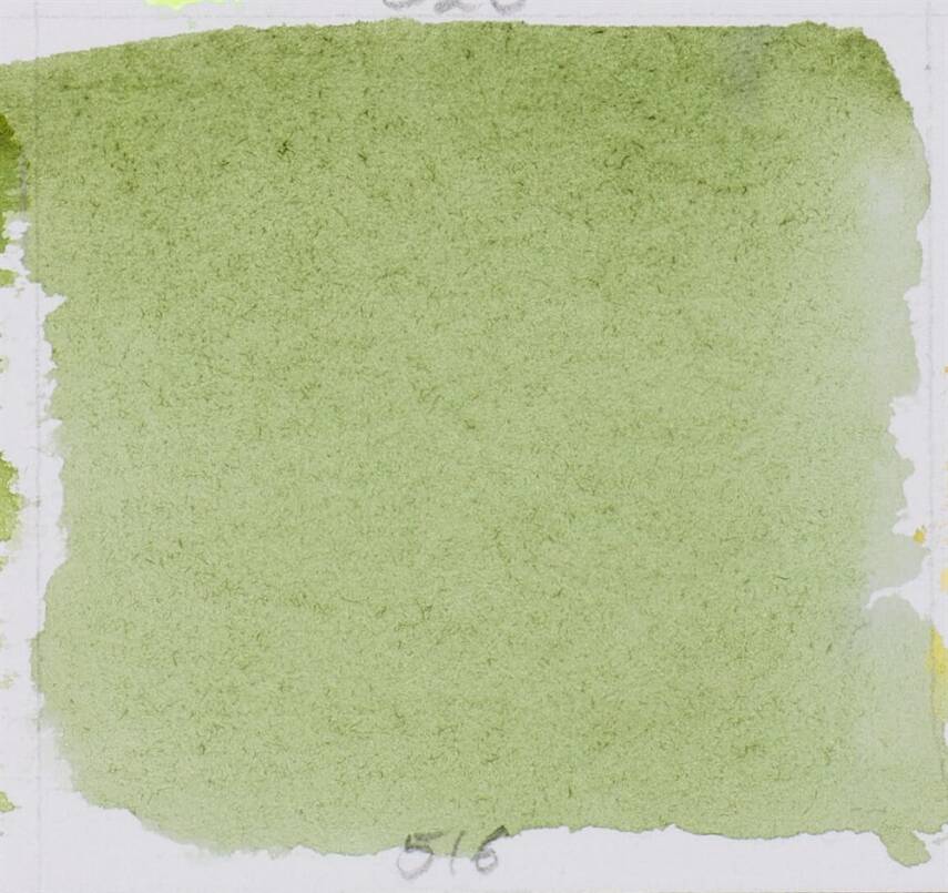 Schmincke Horadam Aquarell Artist Watercolor Green Earth 1/2 Tab. - 2