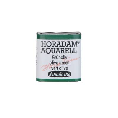 Schmincke Horadam Aquarell Artist Watercolor Olive Green 1/2 Tab.