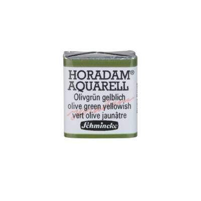 Schmincke Horadam Aquarell Artist Watercolor Olive Green Yellowish 1/2 Tab.