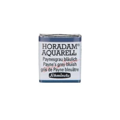 Schmincke Horadam Aquarell Artist Watercolor Payne'S Gray Bluish 1/2 Tab.