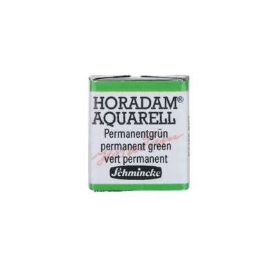 Schmincke Horadam Aquarell Artist Watercolor Permanent Green 1/2 Tab.
